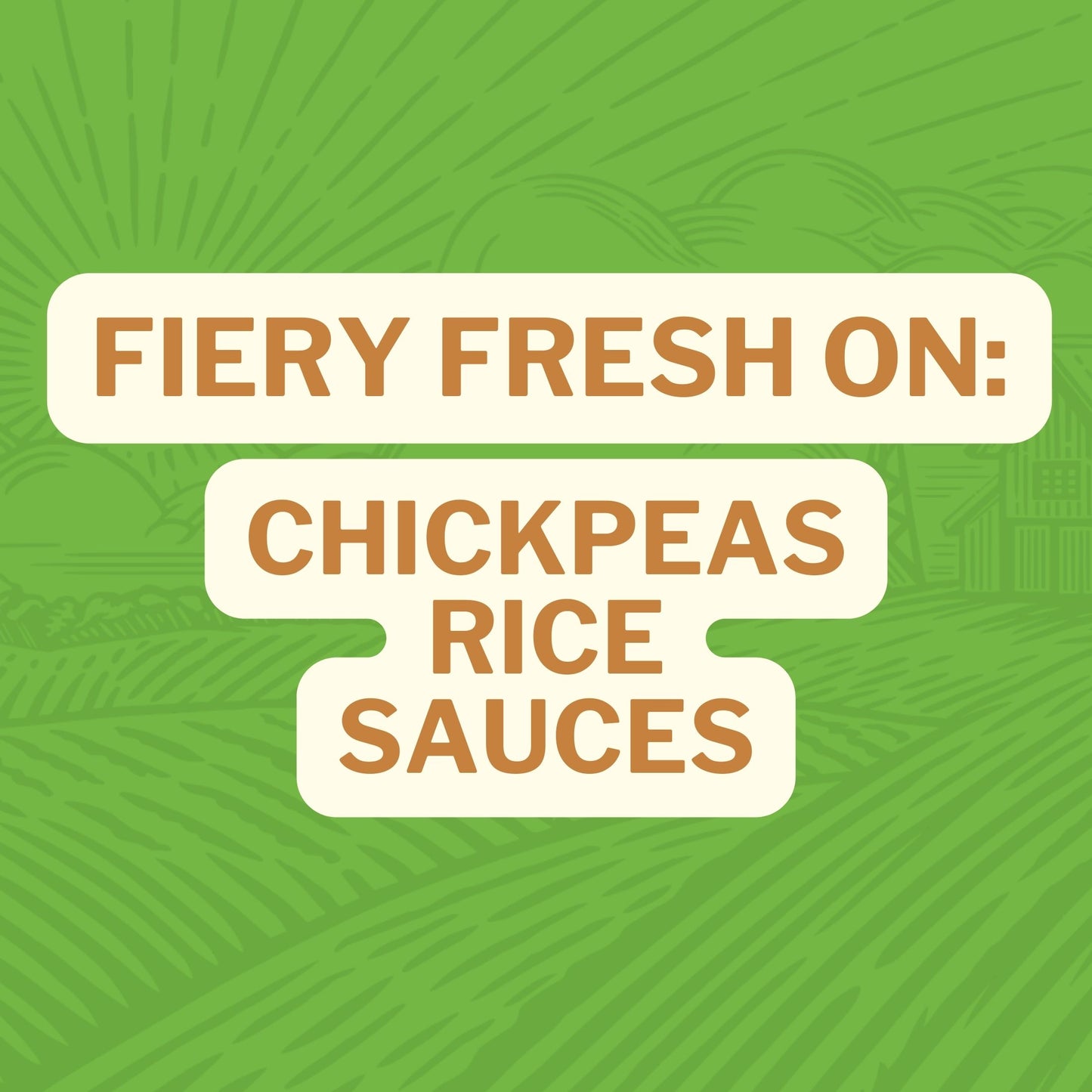 Fiery Fresh On: Chickpeas Rice Sauces
