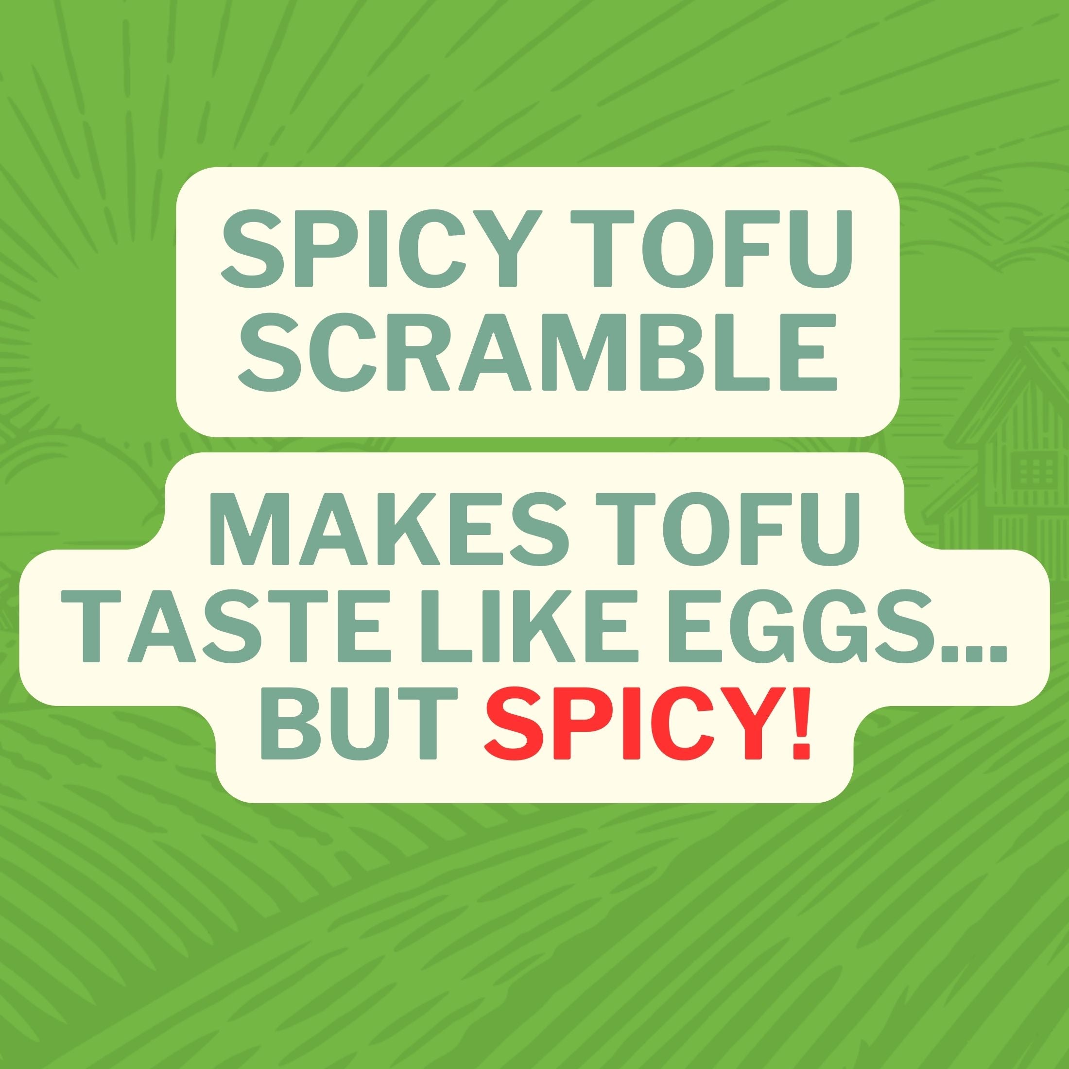 Spicy Tofu Scramble: Makes Tofu Taste like Eggs, But Spicy!