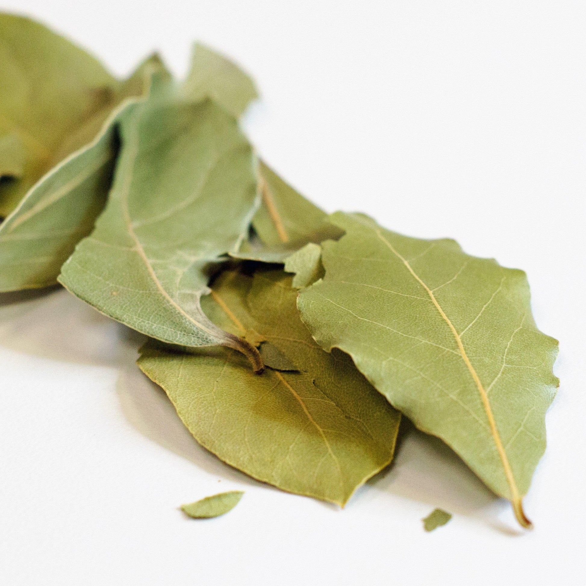 FreshJax Organic Spices Organic Bay Leaf