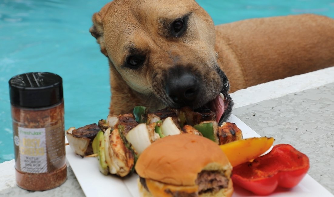 dog eating a burger near a pool