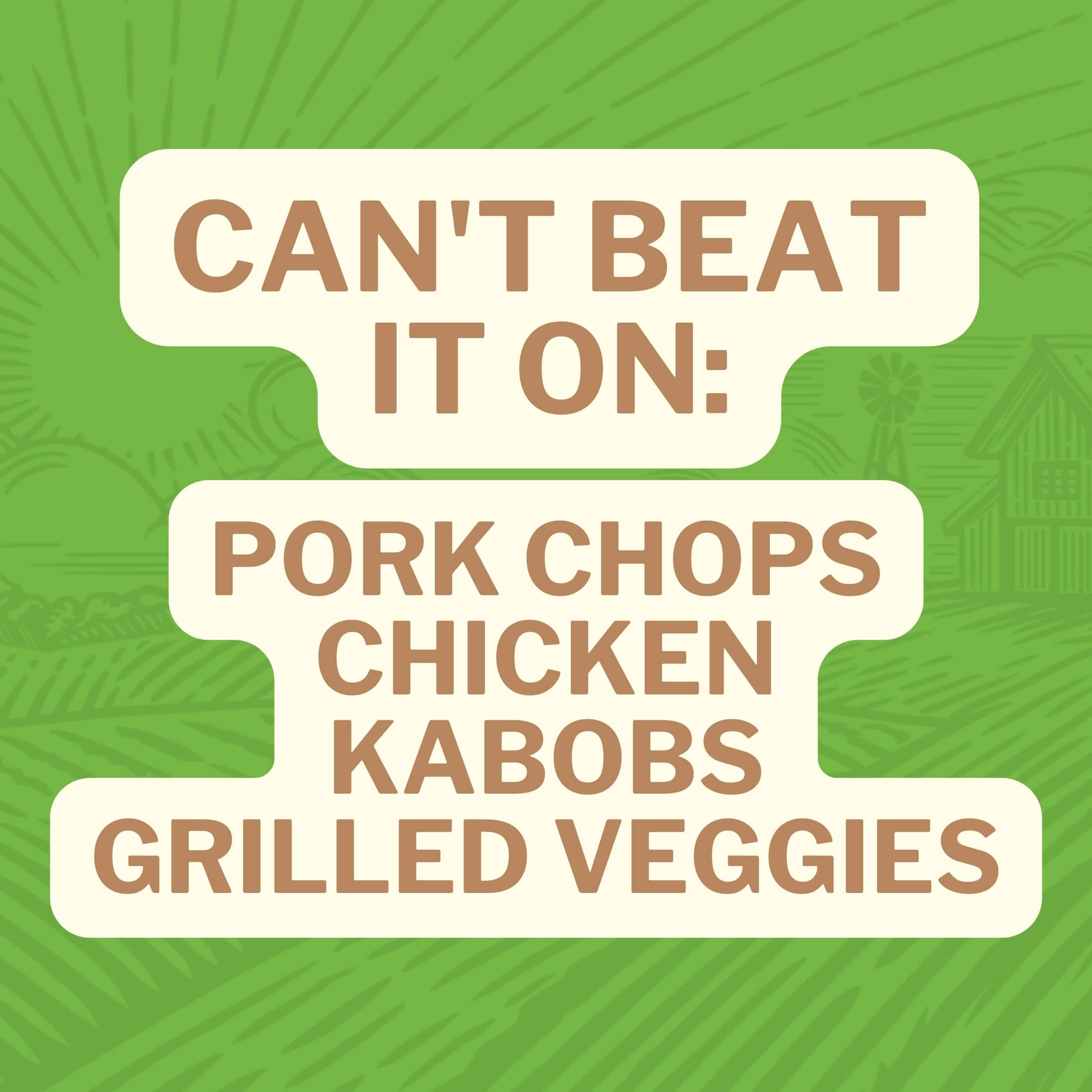 Can't Beat it On: Pork Chops Chicken Kabobs Grilled Veggies