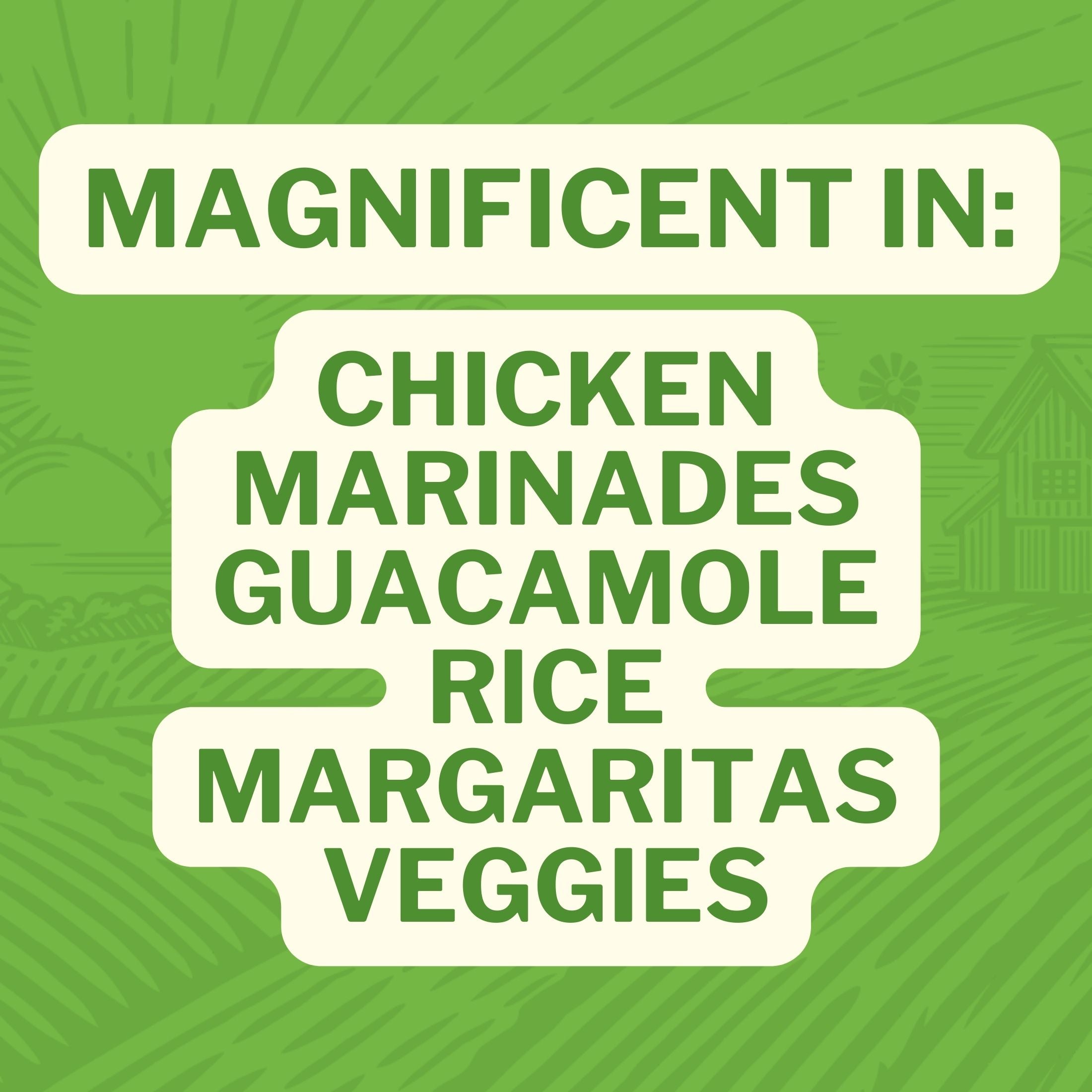 Magnificent In: Chicken Marinades Guacamole Rice Margaritas Veggies