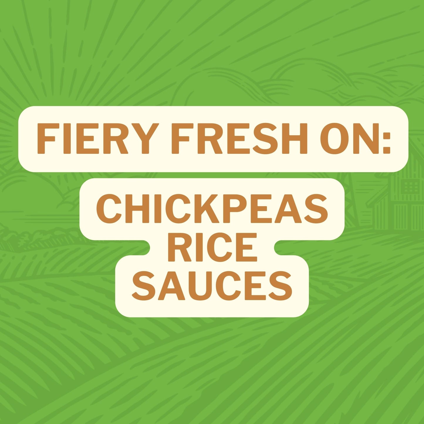 Fiery Fresh On: Chickpeas Rice Sauces 