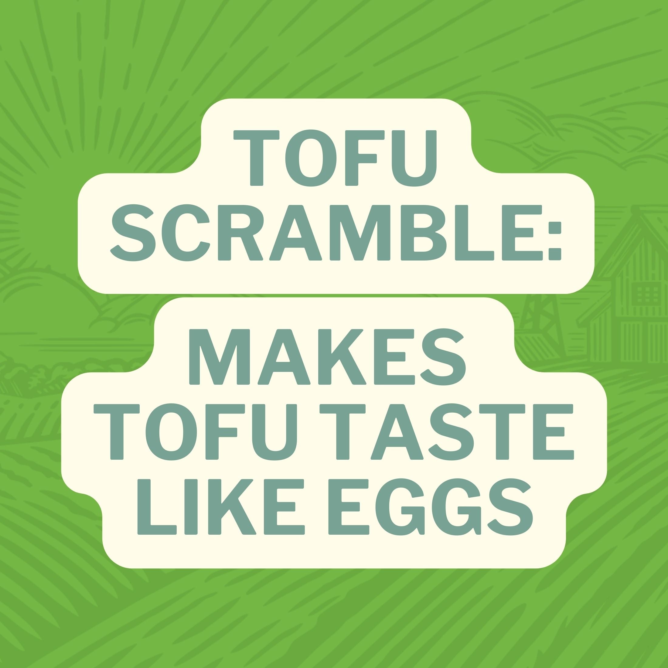 Tofu Scramble Makes Tofu Taste like Eggs
