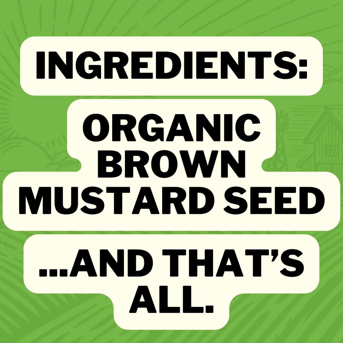 Ingredients : Organic Brown Mustard Seed... And that's all.