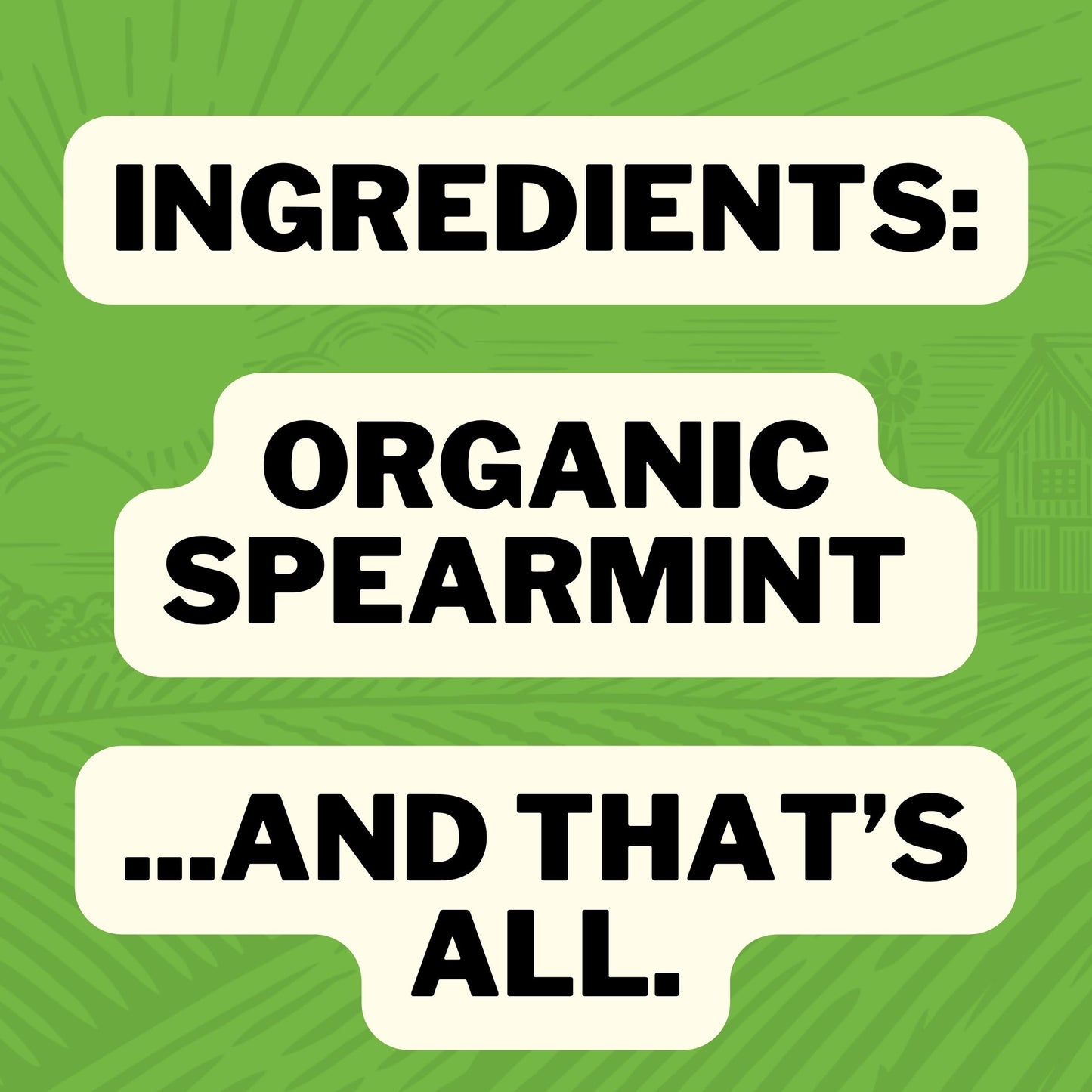 Ingredients : Organic Spearmint... And that's all.
