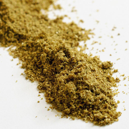 FreshJax Organic Spices Organic Coriander