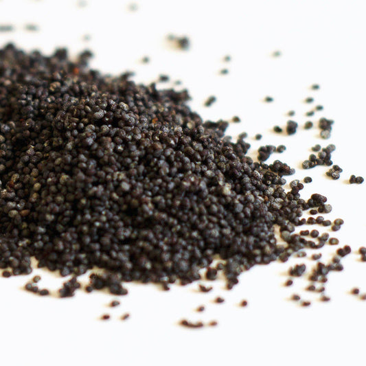 FreshJax Organic Spices Organic Poppy Seeds
